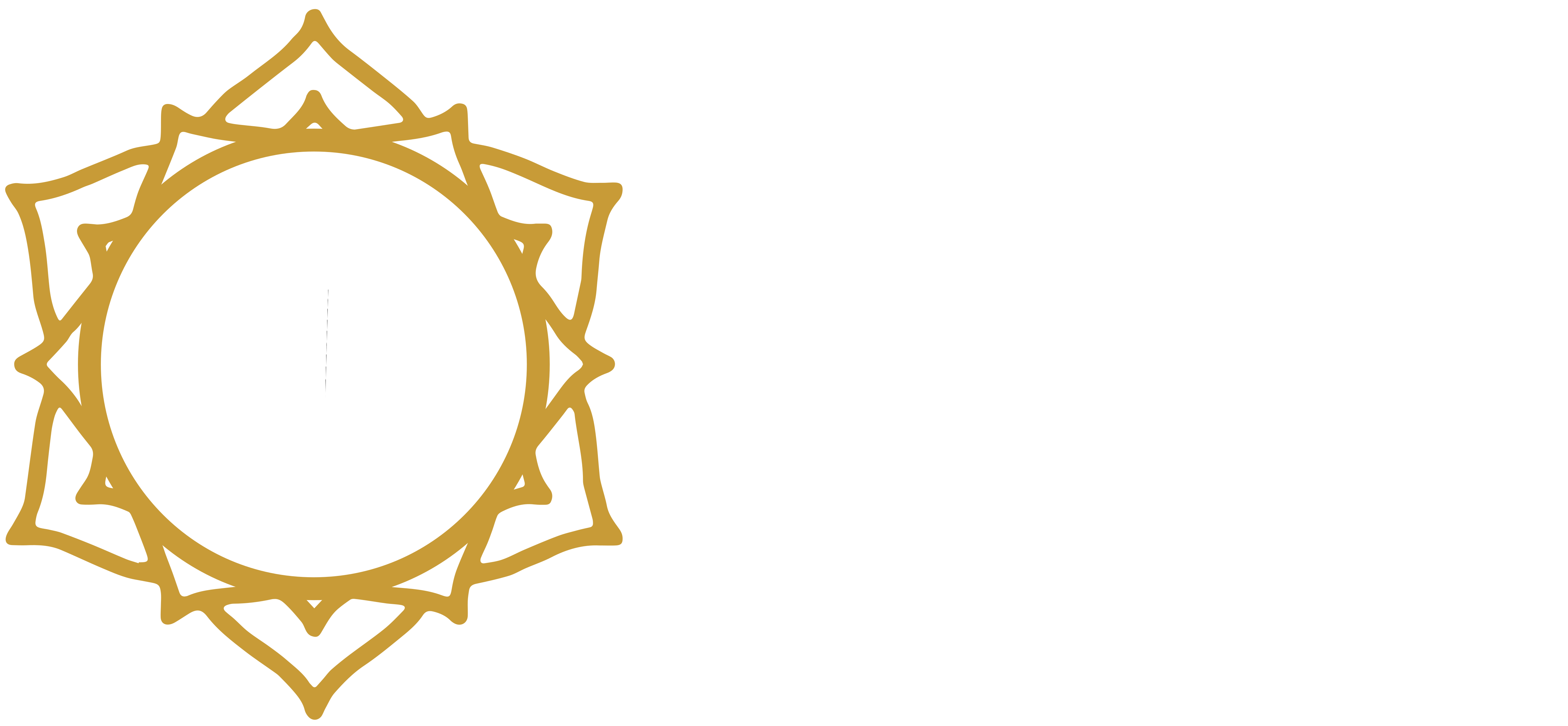 Studio Legale Giancani & Partners